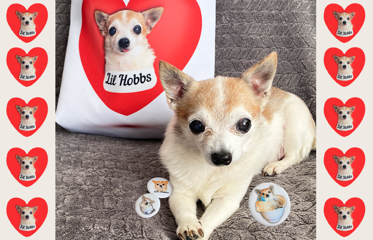 ★HPLLY LOVES LOVE★ Festival bag[Bull Dog Lover] Amazon.com: BDPWSS English Bulldog Canvas Tote Shoulder Bag