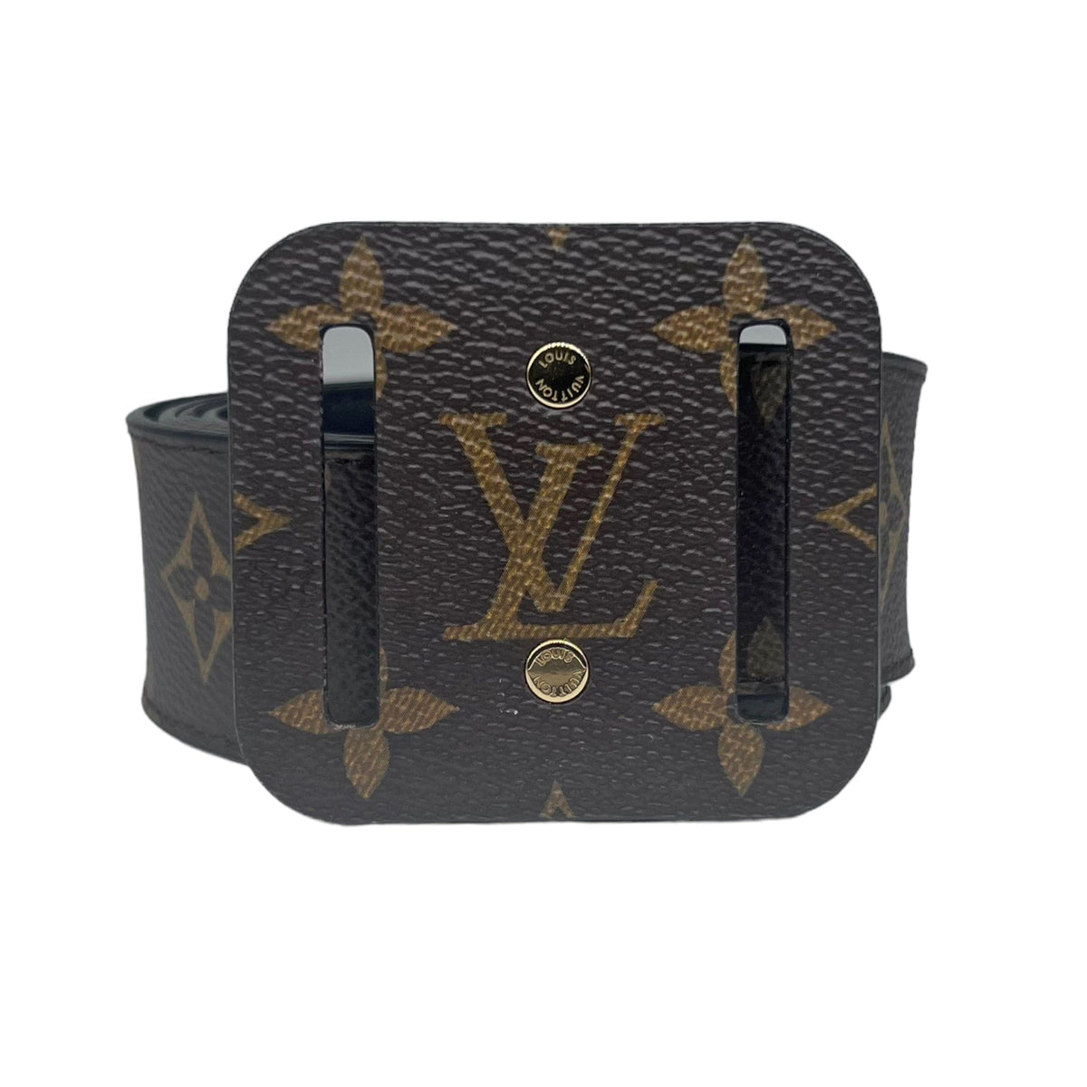 LOUIS VUITTON Vintage Gold Belt with Louis Vuitton Box– Wag N' Purr Shop