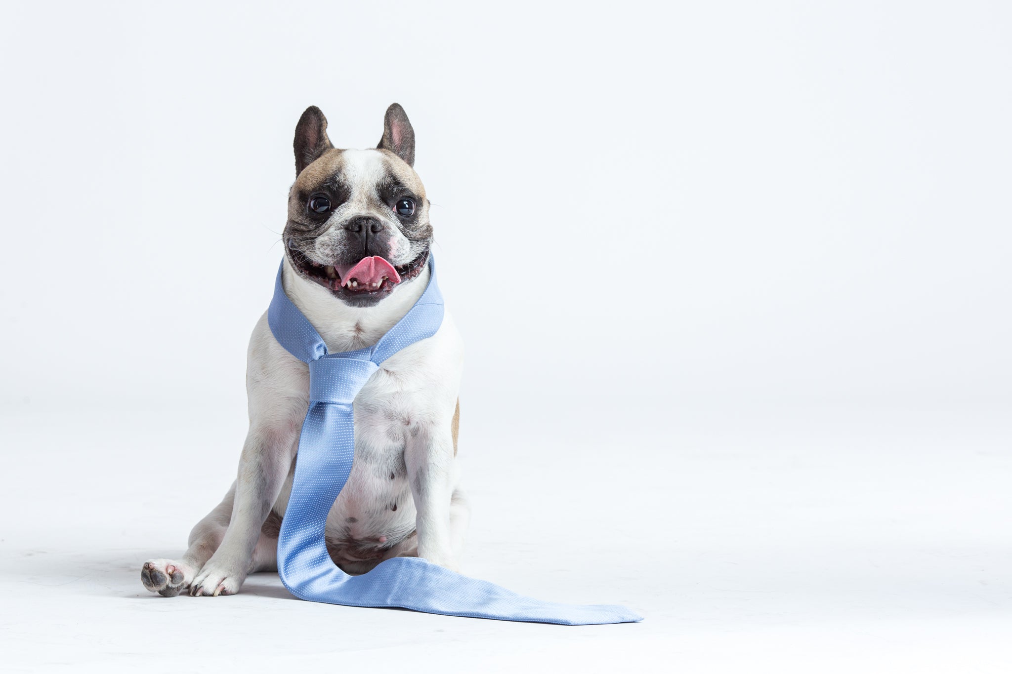 Which Tie is the Perfect Gift for Dad?