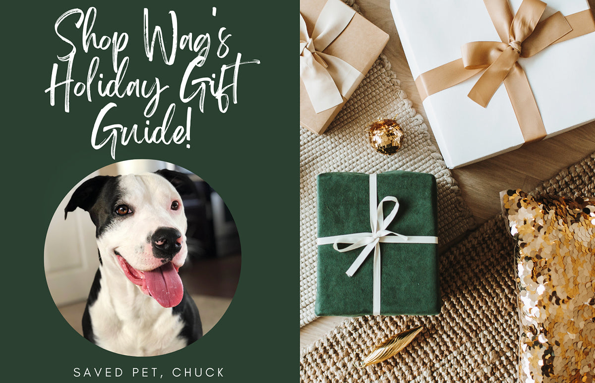 ✨Wag's 2022 Holiday Gift Guide 🎁
