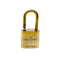 WagnPurr Shop Accessories LOUIS VUITTON Lock & Key #308 - Gold Brass - New in Box