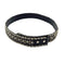 WagnPurr Shop Women's Belt KIPPYS Swarovski Crystal & Metal Studded Belt Strap - Black