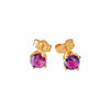 WagnPurr Shop Women's Earrings EARRINGS 14K Gold & Ruby Studs