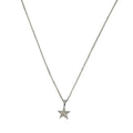WagnPurr Shop Women's Necklace NECKLACE 14K White Gold with Diamond Star Pendant