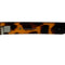 WagnPurr Shop Women's Sunglasses CHAMPION Sunglasses - Tortoise New w/Tags