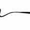 WagnPurr Shop Women's Sunglasses ROBERTO CAVALLI Maia 152S Snake Sunglasses - Silver & Black