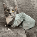 Wag N' Purr Shop Pet Outfit Lil Hobbs Dress - Silver Light Green