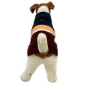 Wag N' Purr Shop Pet Sweater BOOTS & BARKLEY Striped Dog Sweater - Navy, Peach, White & Burgundy New w/Tags
