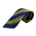 WagnPurr Shop Men's Tie CANALI Textured Diagonal Stripe Tie - Blue, Purple, Lime