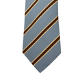 WagnPurr Shop Men's Tie THOMAS PINK Repp Stripe Tie - Pale Blue New w/Tags